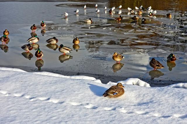 Il fait chaud l’ete et froid l’hiver