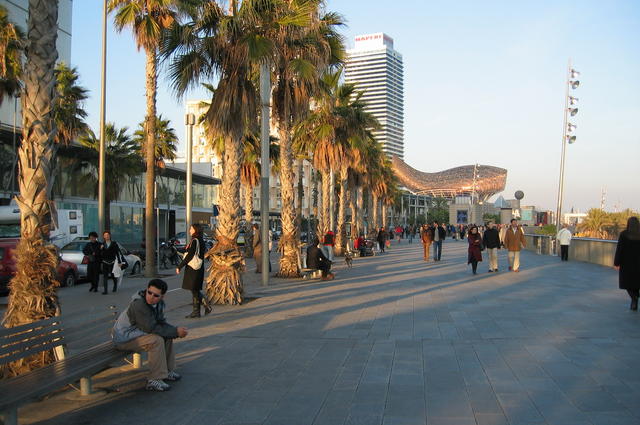 Barceloneta