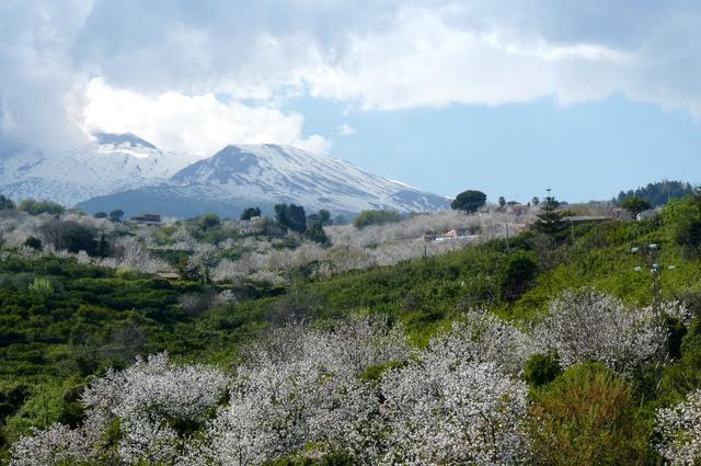 Le Mont Etna (Catane)