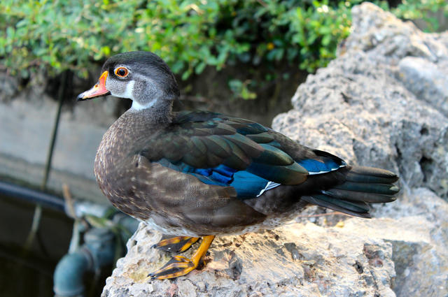 Palerme : parc naturel, planétarium et parc de dinosaures.