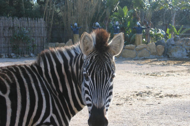 Bioparco di Sicilia