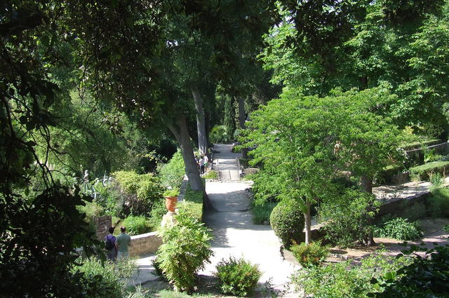 Jardins botaniques 