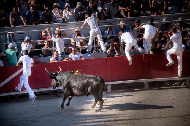 Voir les corridas à Arles 