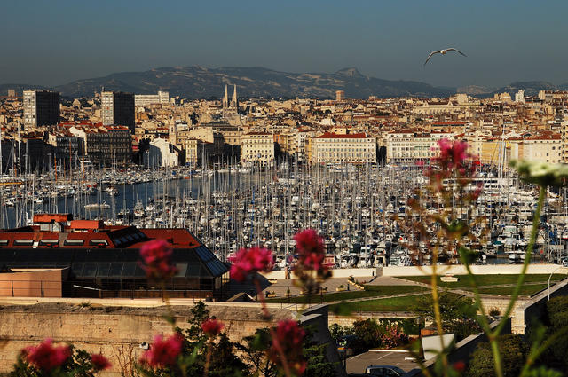 Vieux Port 