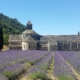 Les champs de lavande de Provence