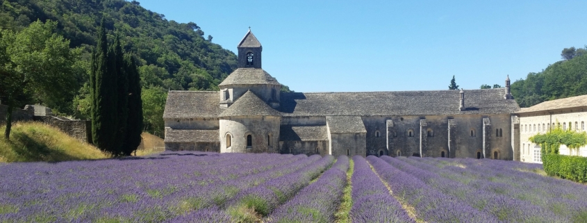 Les champs de lavande de Provence