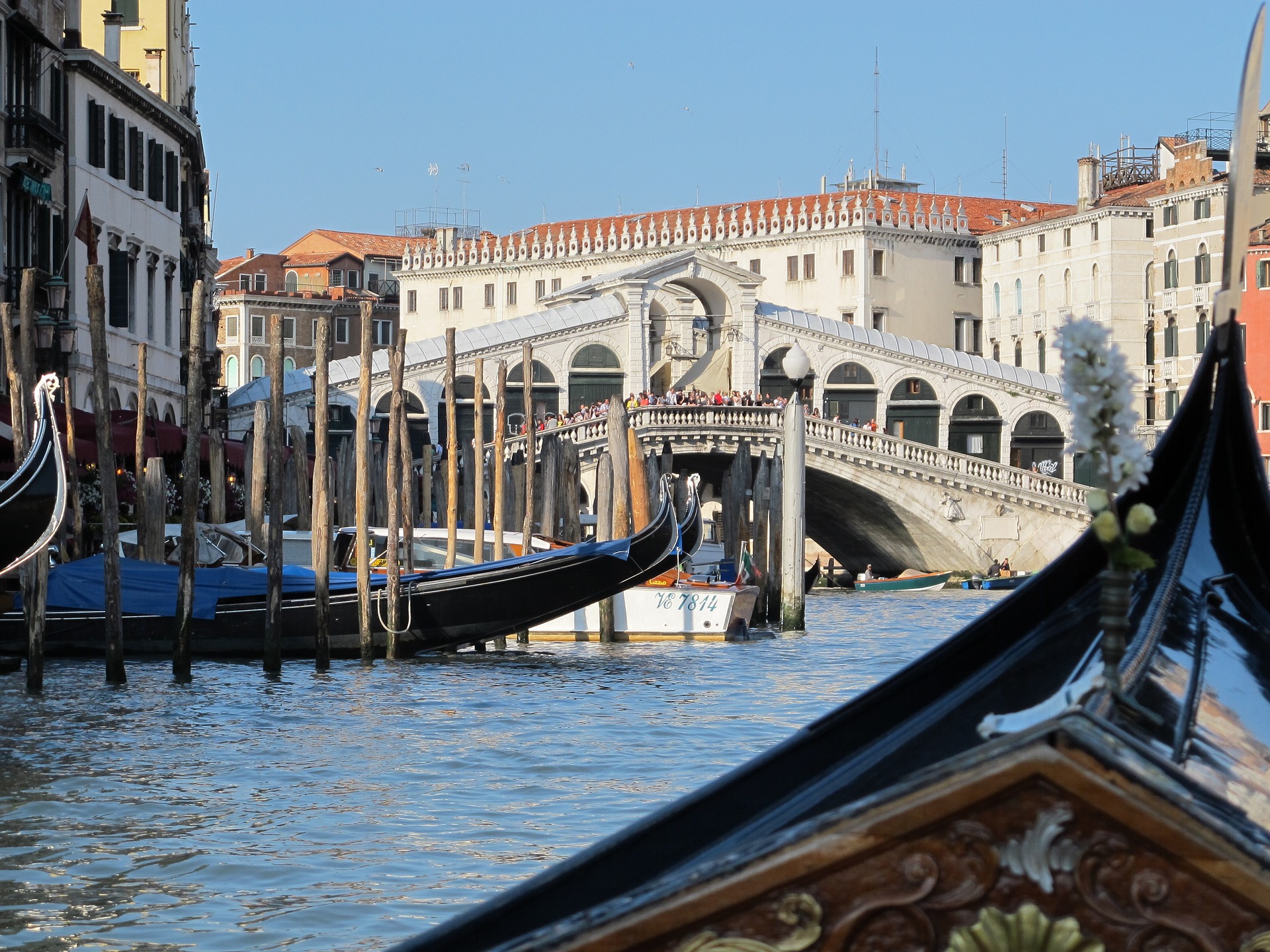 Le Grand Canal et le pont du Rialto