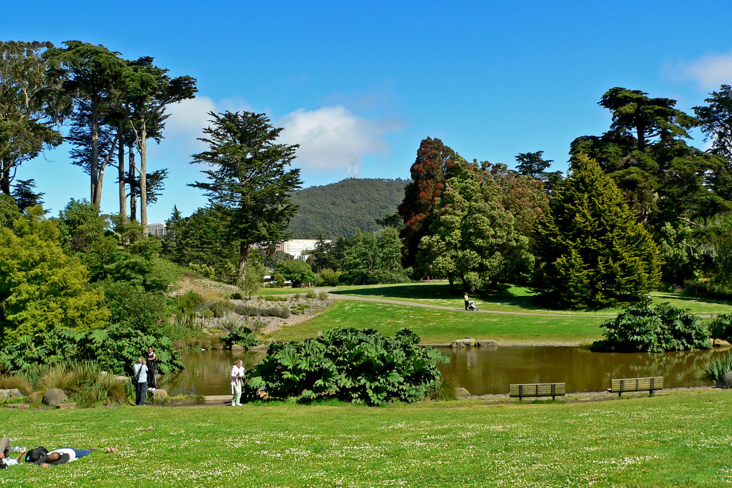 Jardin Botanique de San Francisco