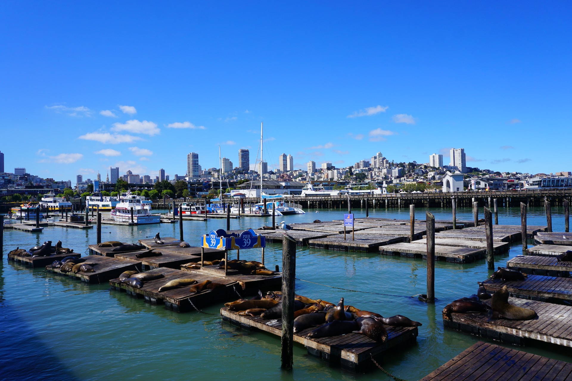 Pier 39