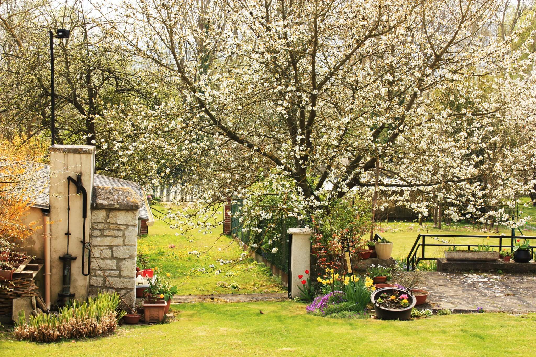 Giverny au printemps