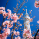 TOKYO SKYTREE