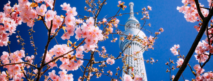 TOKYO SKYTREE