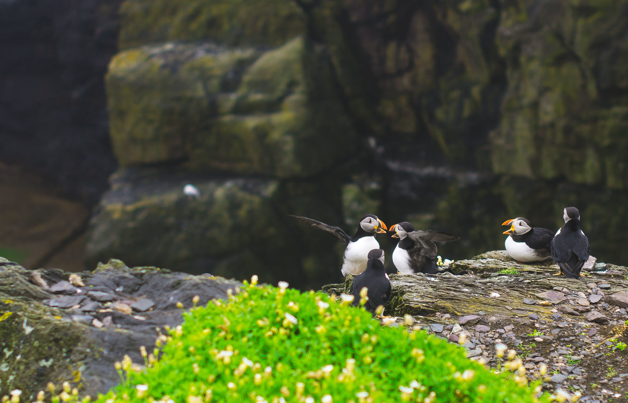 Caractéristiques naturelles de l’île