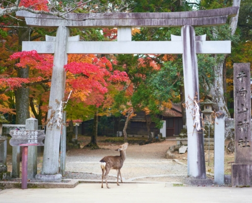 Japon en septembre
