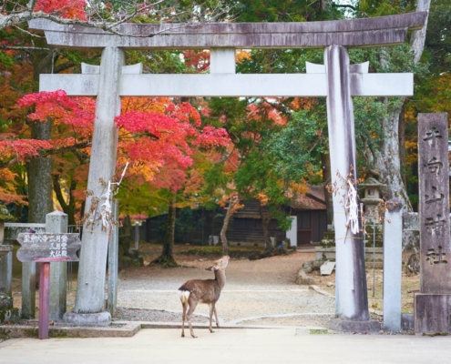 Japon en septembre