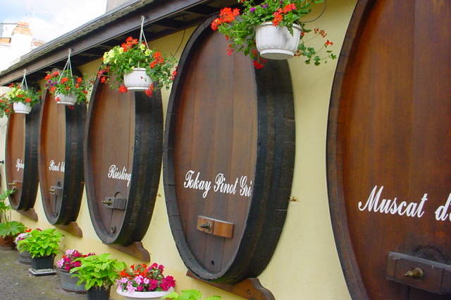 Vin d’Alsace
