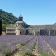 Les champs de lavande de Provence